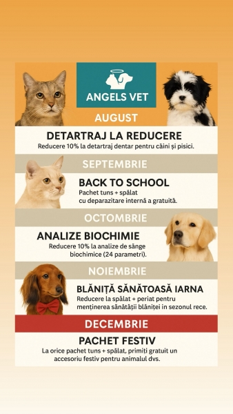 Oferta Cabinet veterinar Piata Sudului august - decembrie 2025